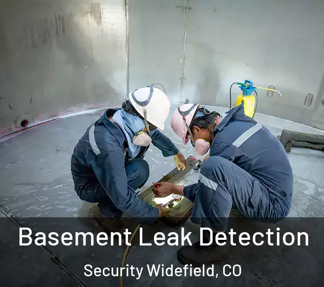  Basement Leak Detection Security Widefield, CO