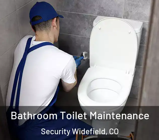  Bathroom Toilet Maintenance Security Widefield, CO