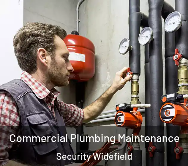  Commercial Plumbing Maintenance Security Widefield
