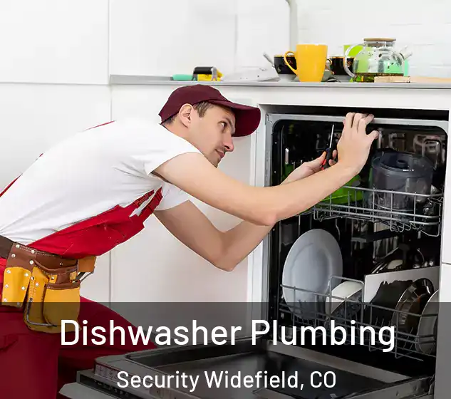  Dishwasher Plumbing Security Widefield, CO