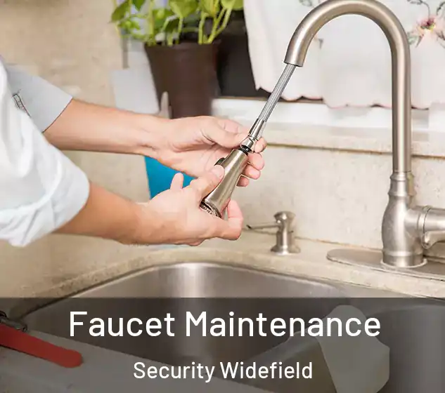  Faucet Maintenance Security Widefield