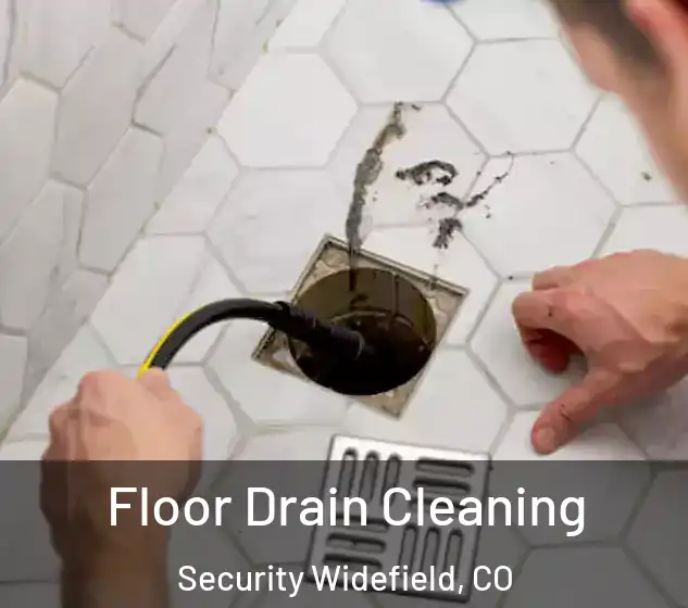  Floor Drain Cleaning Security Widefield, CO