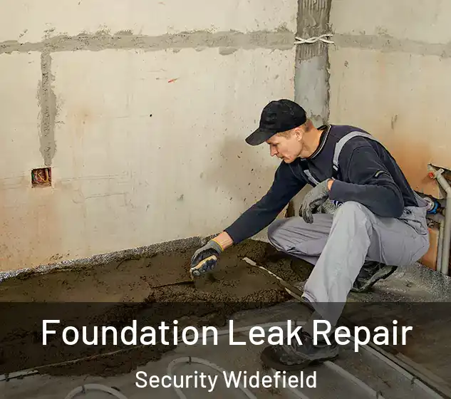  Foundation Leak Repair Security Widefield