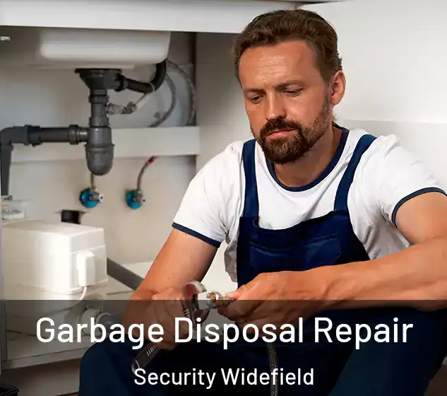  Garbage Disposal Repair Security Widefield