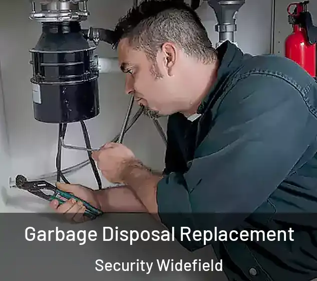  Garbage Disposal Replacement Security Widefield