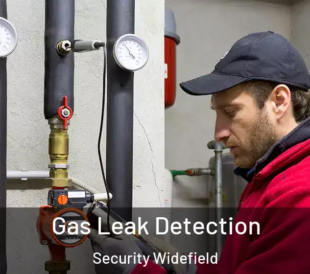  Gas Leak Detection Security Widefield
