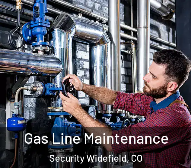  Gas Line Maintenance Security Widefield, CO