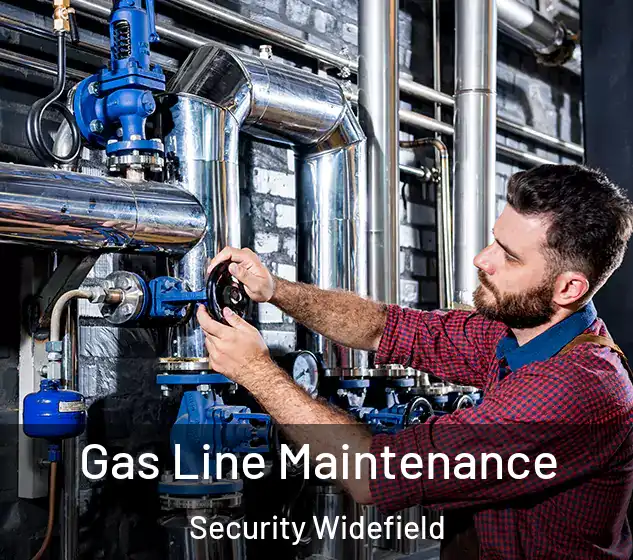  Gas Line Maintenance Security Widefield