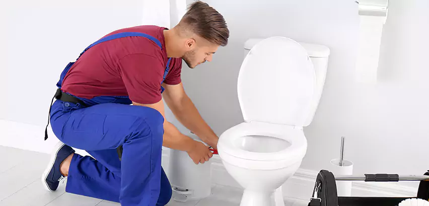 Scope of Bathroom Toilet Bowl Replacement Services in Security Widefield, CO