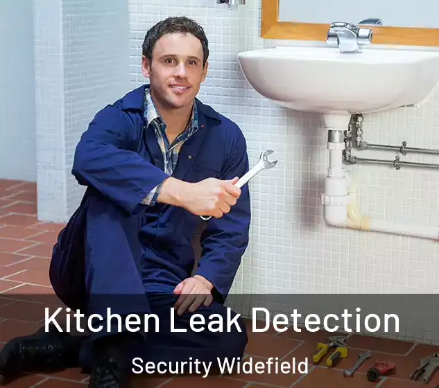  Kitchen Leak Detection Security Widefield