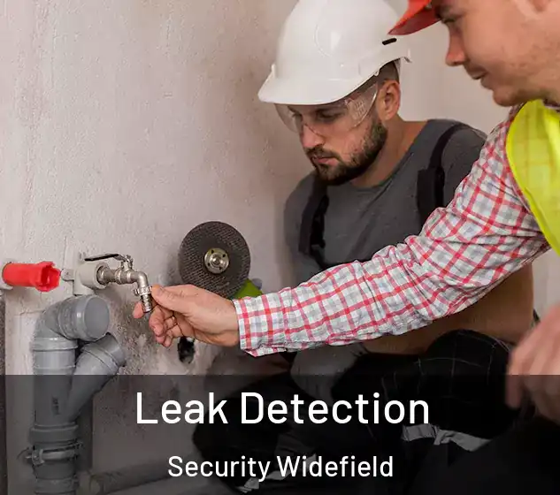  Leak Detection Security Widefield