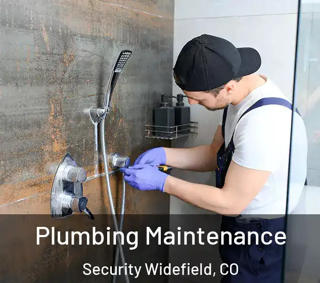  Plumbing Maintenance Security Widefield, CO