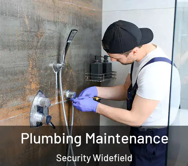  Plumbing Maintenance Security Widefield