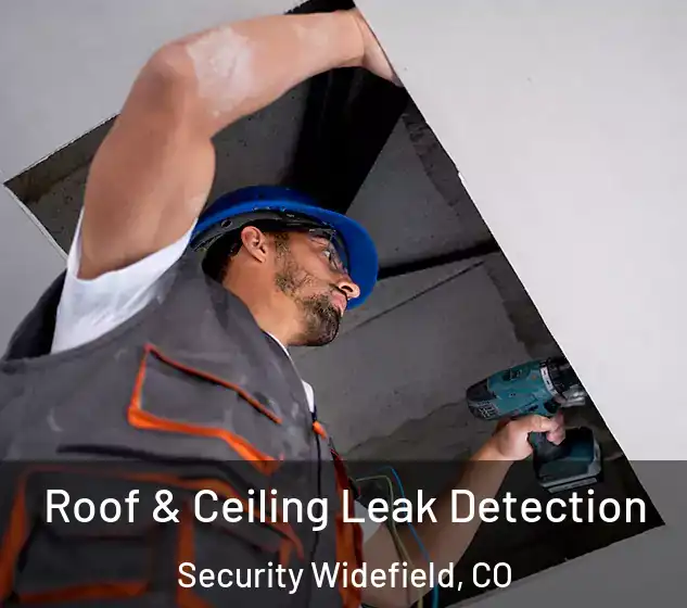  Roof & Ceiling Leak Detection Security Widefield, CO