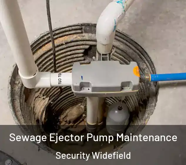  Sewage Ejector Pump Maintenance Security Widefield