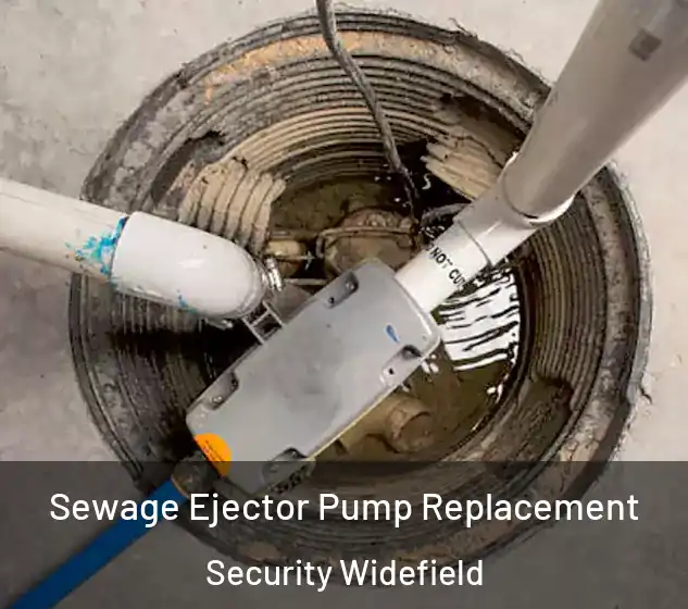  Sewage Ejector Pump Replacement Security Widefield