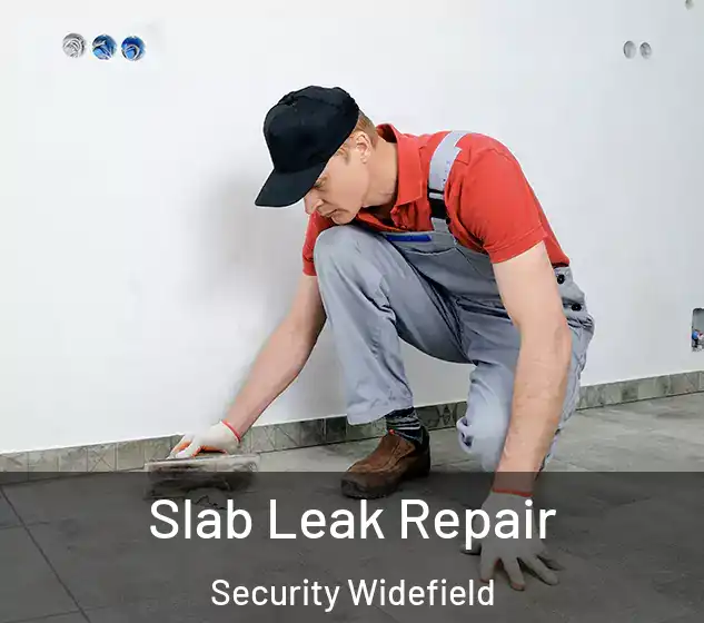  Slab Leak Repair Security Widefield