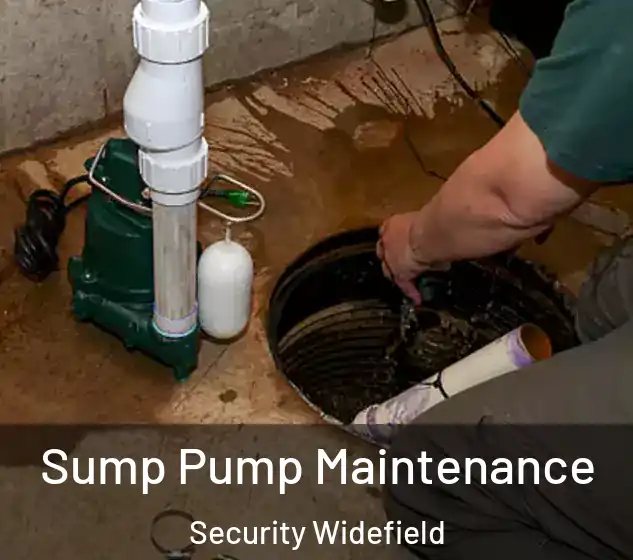  Sump Pump Maintenance Security Widefield
