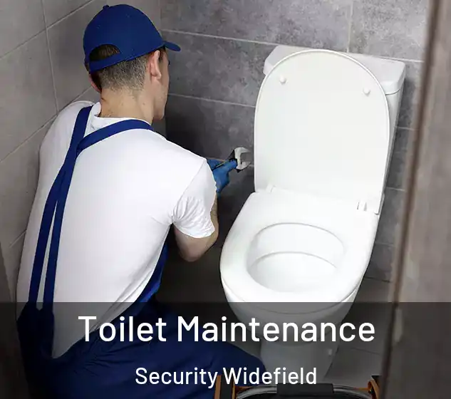 Toilet Maintenance Security Widefield