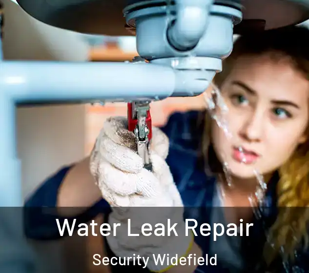  Water Leak Repair Security Widefield